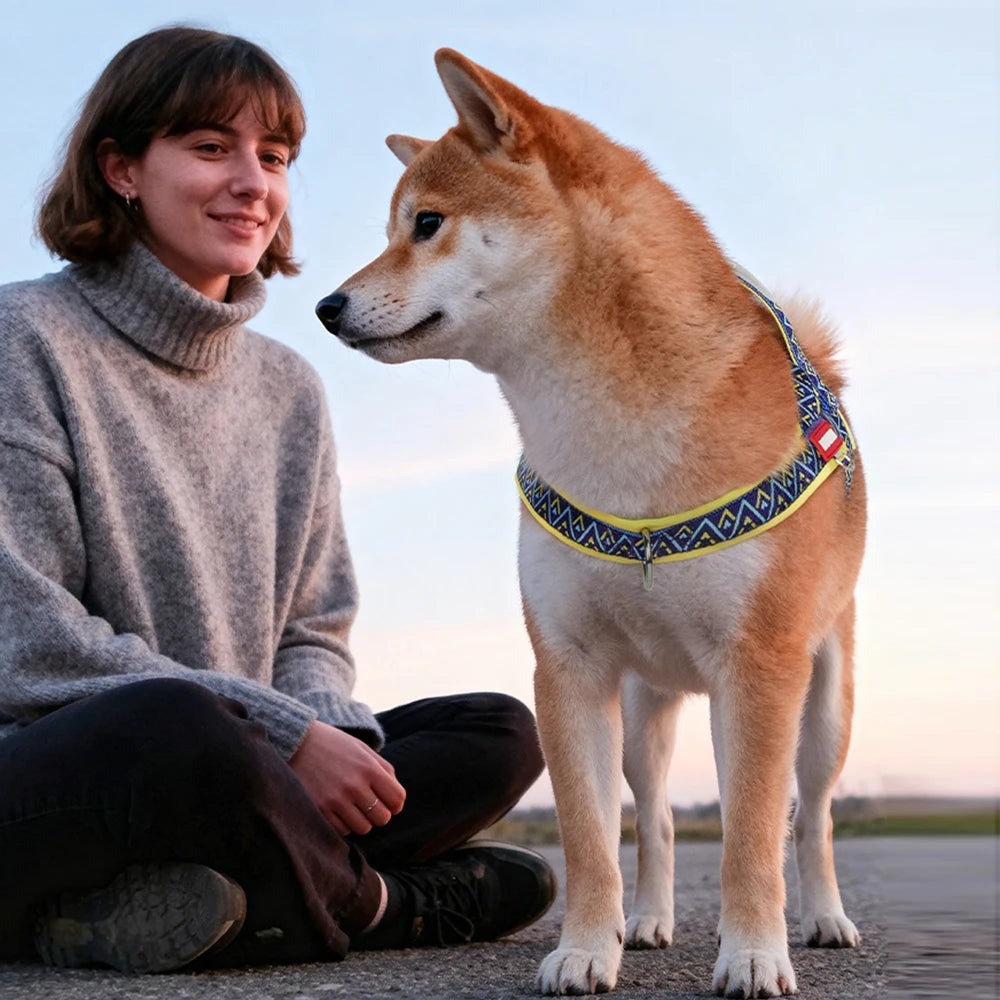 ZenPaw™ スタイリッシュ・コンフォートハーネス