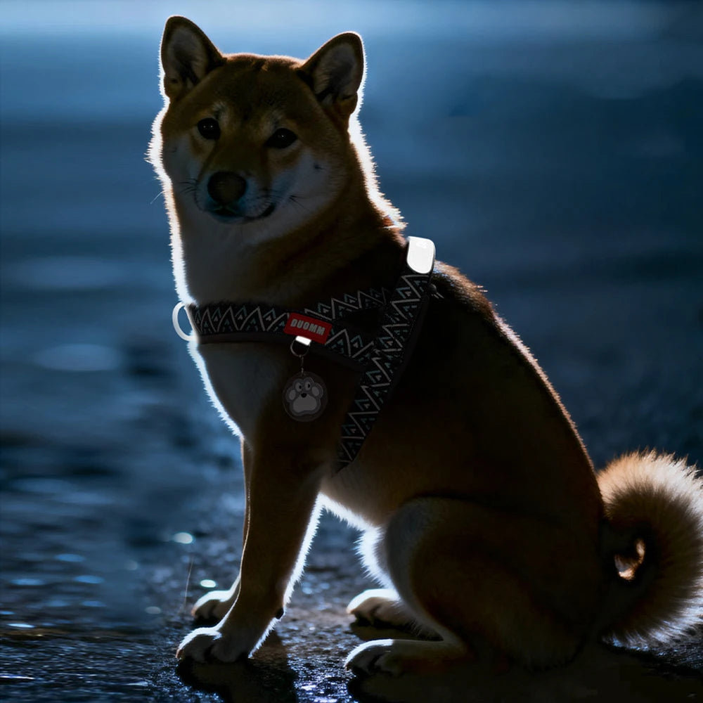 ZenPaw™ スタイリッシュ・コンフォートハーネス